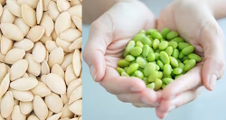 Pumpkin Seed and Soy Improve Women’s Quality of Life